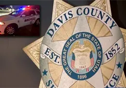 Maltrato animal: Avienta a seis perritos desde su auto; iba a más de 100 kilómetros por hora Maltrato animal: Avienta a seis perritos desde su auto; iba a más de 100 kilómetros por hora