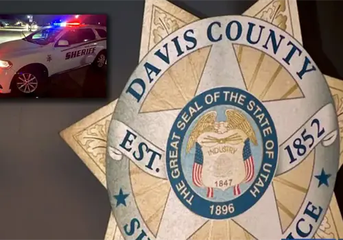 Maltrato animal: Avienta a seis perritos desde su auto; iba a más de 100 kilómetros por hora