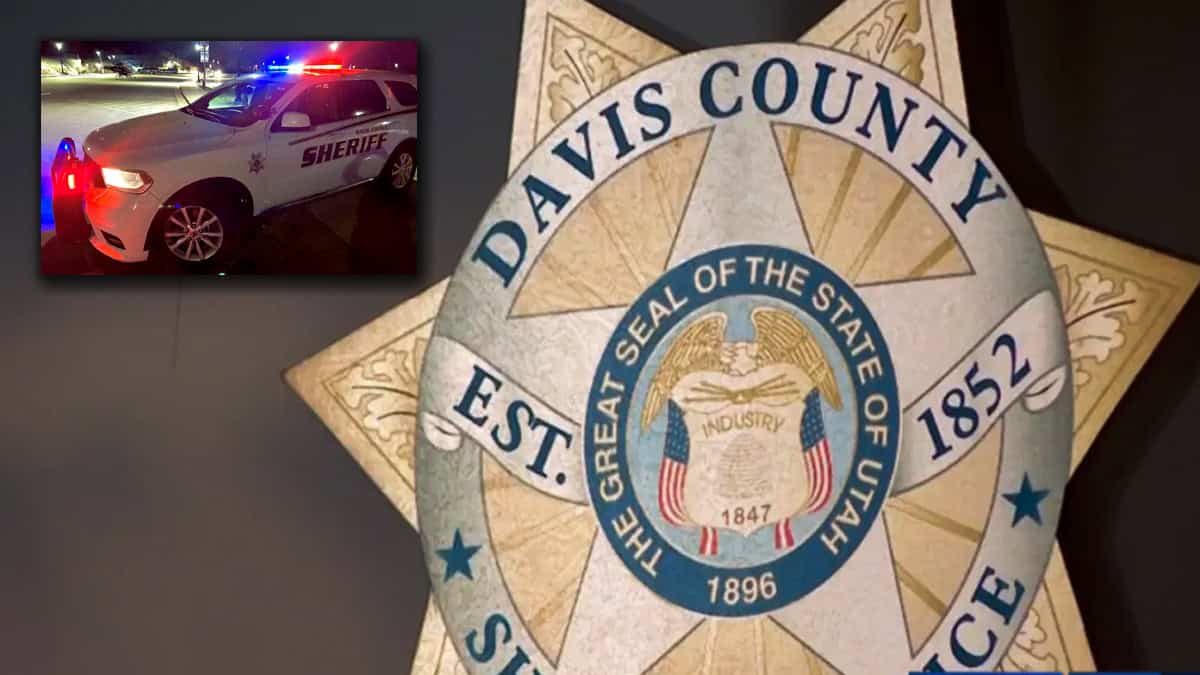 Maltrato animal: Avienta a seis perritos desde su auto; iba a más de 100 kilómetros por hora