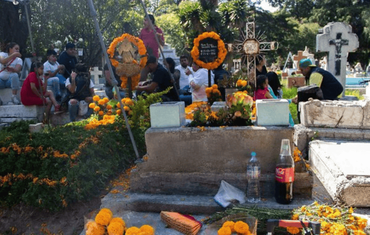 imagen-cuerpo imagen-cuerpo