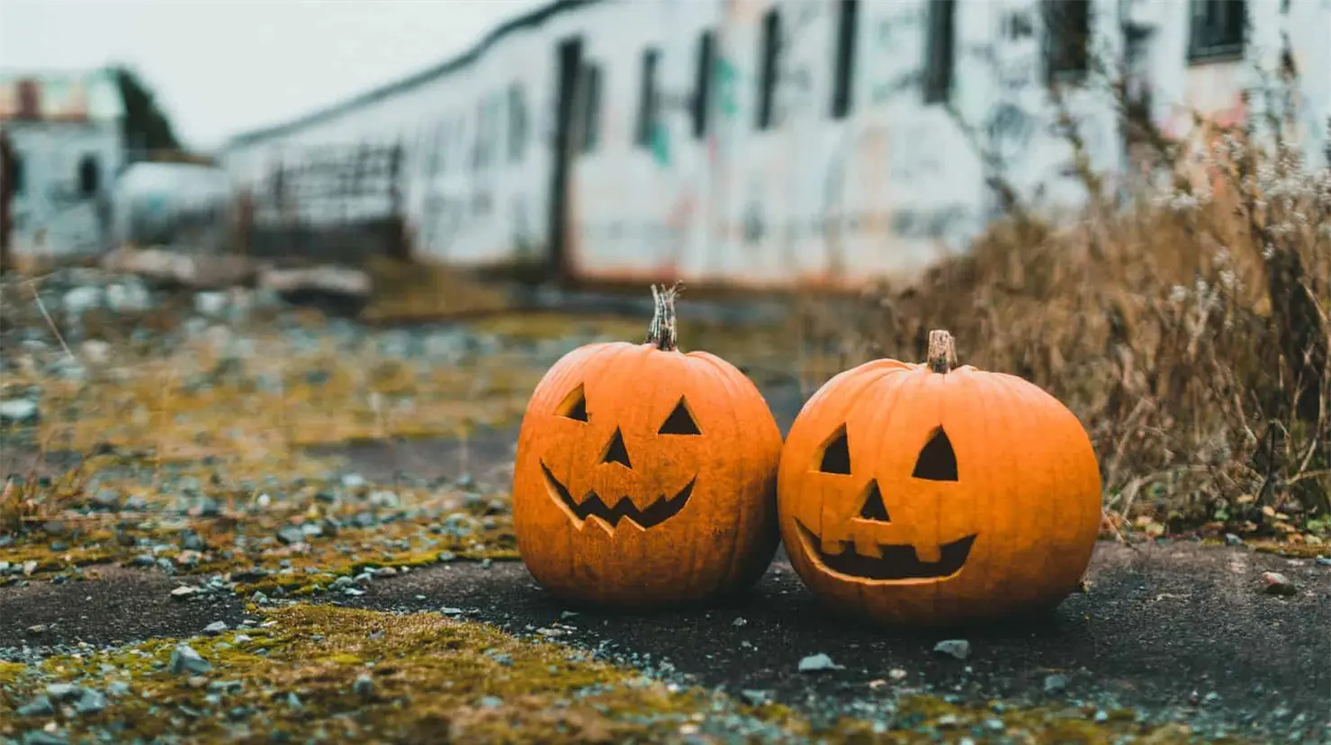 ¿Por qué las calabazas representan Halloween? Conoce la historia oculta de esta tradición