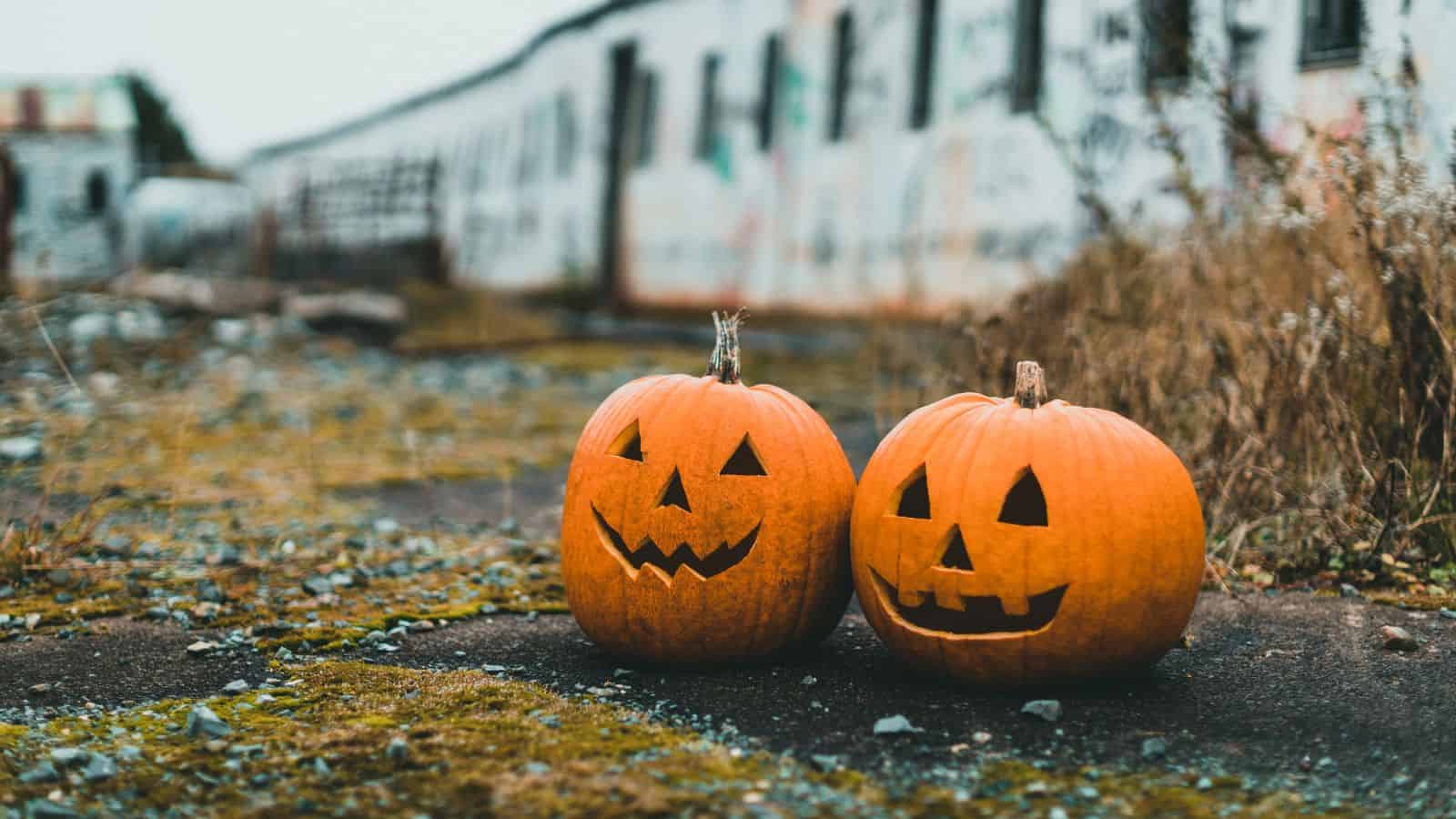 ¿Por qué las calabazas representan Halloween? Conoce la historia oculta de esta tradición