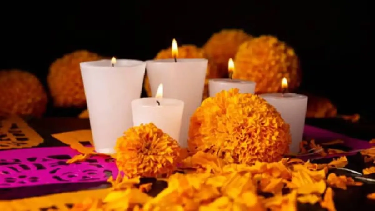 Porque la flor de cempasúchil solo se da en Día de Muertos