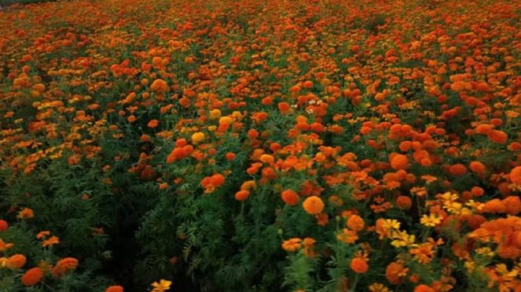 imagen-cuerpo imagen-cuerpo