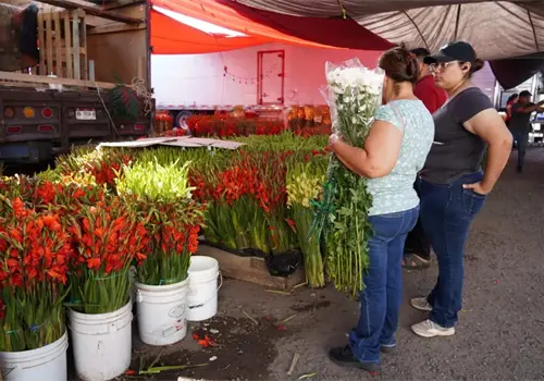 Llegaron las flores a Ciudad Obregón