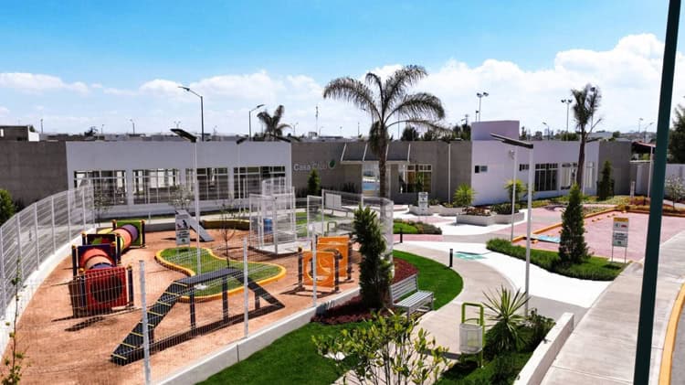 imagen-cuerpo imagen-cuerpo