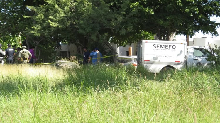 imagen-cuerpo imagen-cuerpo