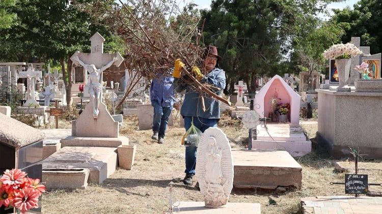 imagen-cuerpo imagen-cuerpo