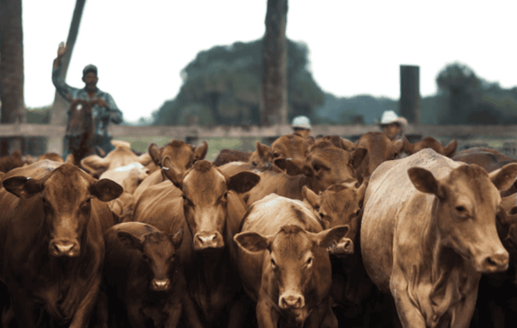 imagen-cuerpo imagen-cuerpo