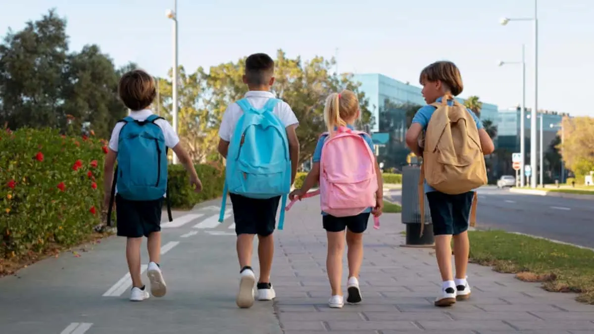 estos son los puentes y días feriados en noviembre 2025