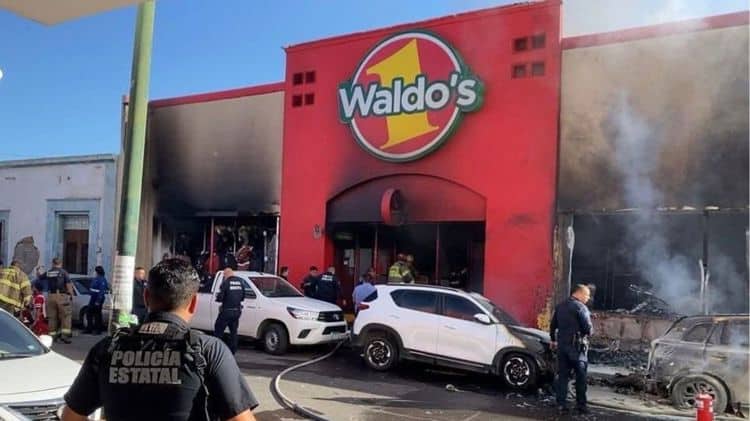 imagen-cuerpo imagen-cuerpo