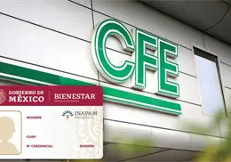 ¿La tarjeta Inapam ofrece descuentos en el pago de la luz? Esto dice la CFE 