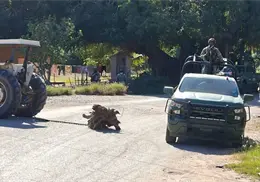 Este fue el resultado del fuerte enfrentamiento en Guasave entre fuerzas federales y sicarios