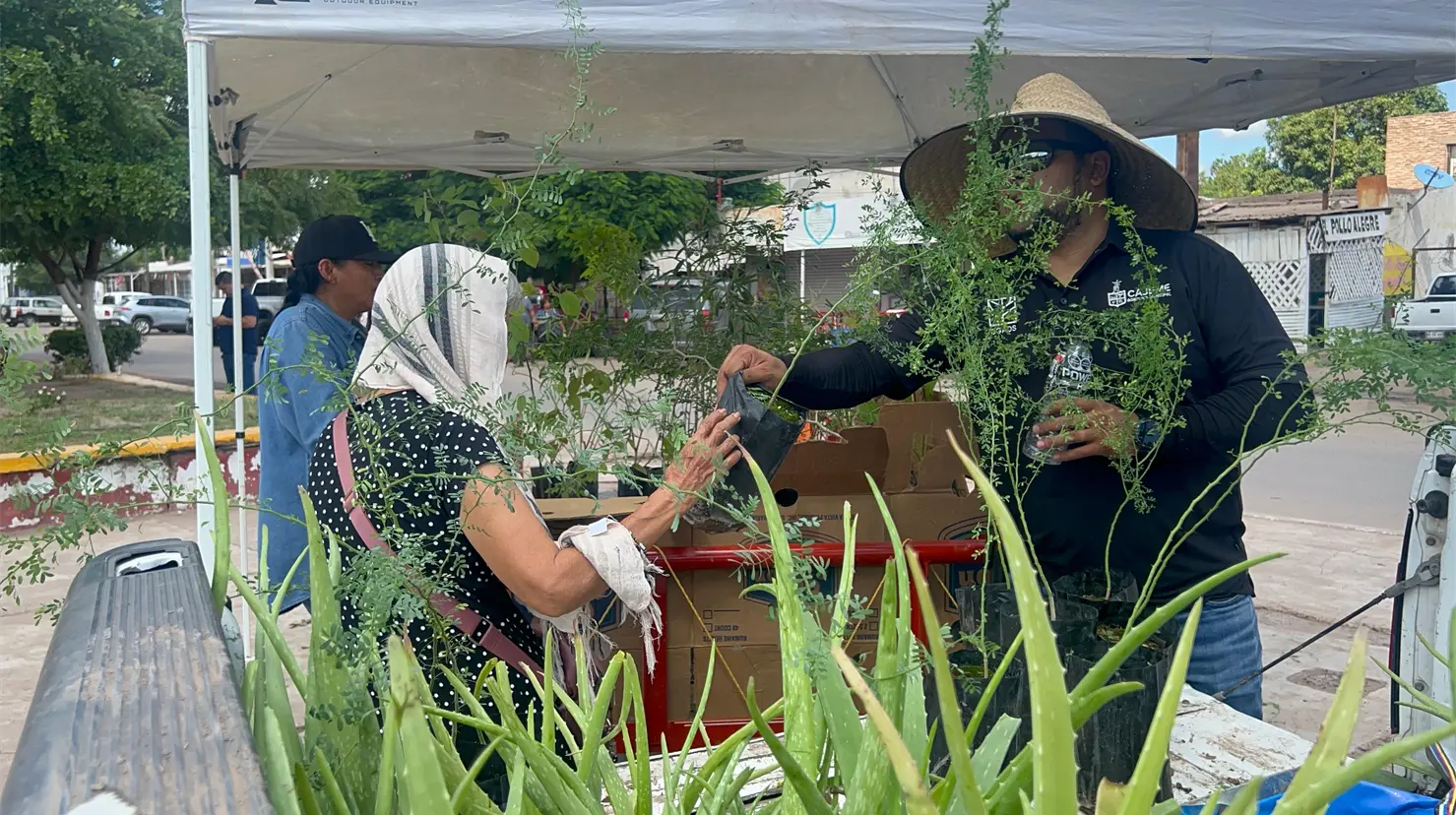 Cajemenses podrán cambiar material reciclable por plantas durante ecotrueque