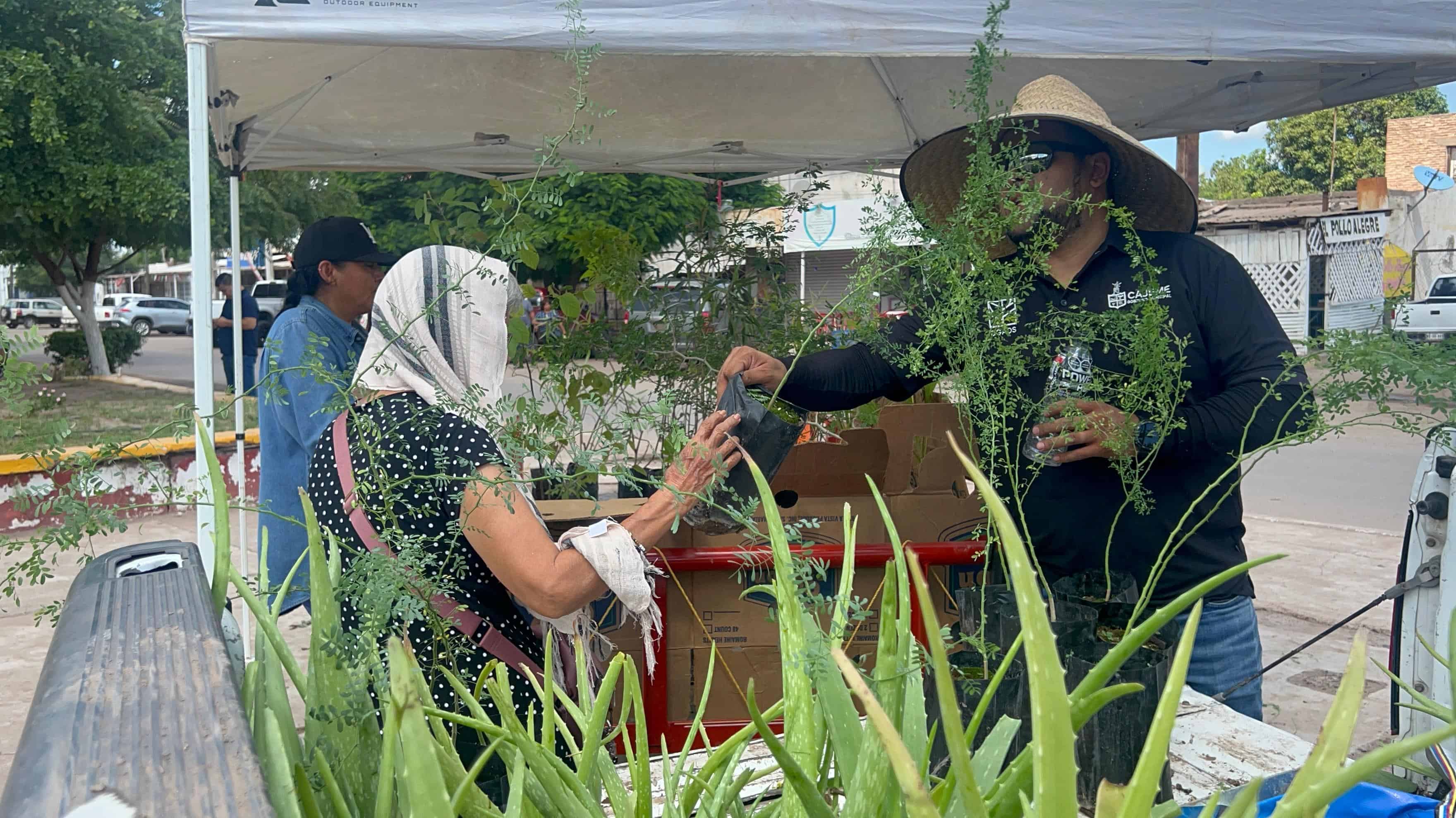 Cajemenses podrán cambiar material reciclable por plantas durante ecotrueque