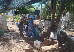 Navojoa sin brotes explosivos por dengue, pero llaman a no confiarse Navojoa sin brotes explosivos por dengue, pero llaman a no confiarse