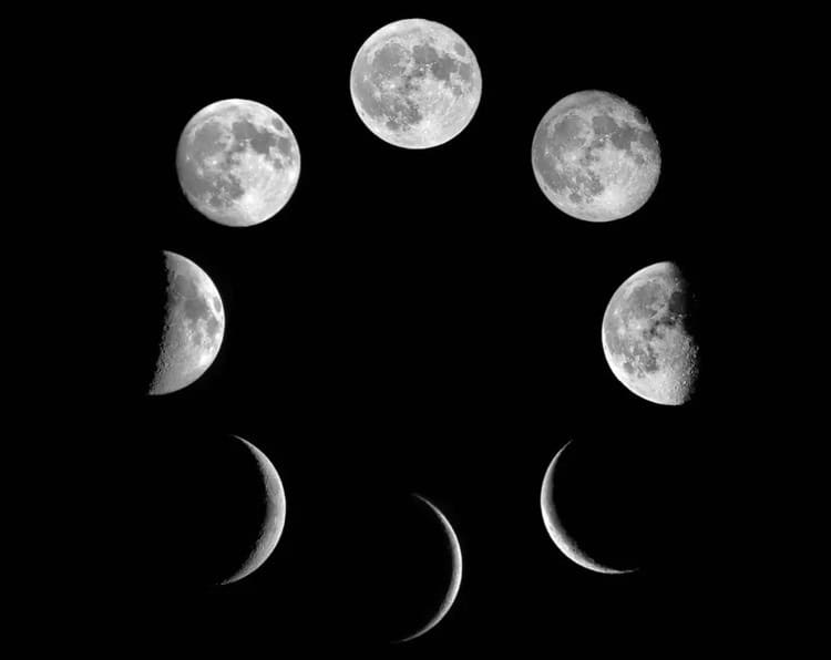 imagen-cuerpo imagen-cuerpo