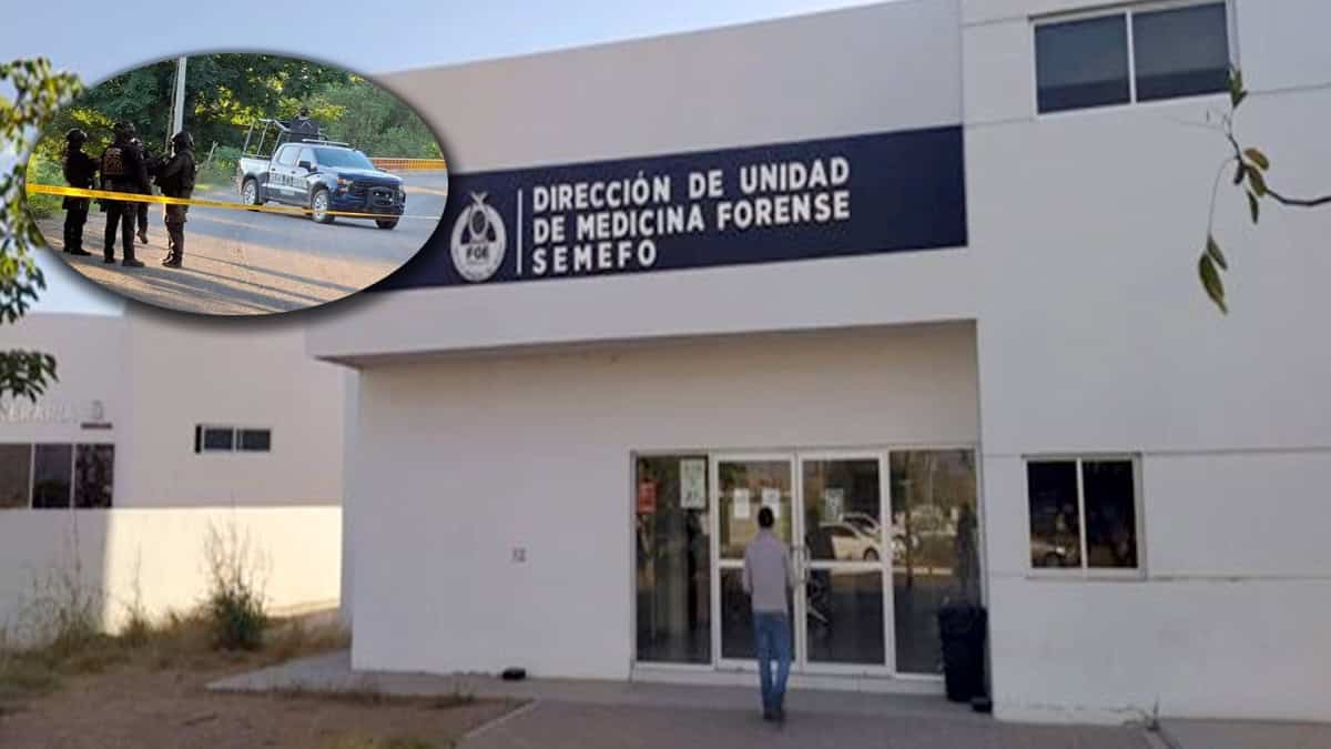 Identifican a 8 de los 13 gatilleros abatidos en enfrentamiento en Guasave; algunos eran menores