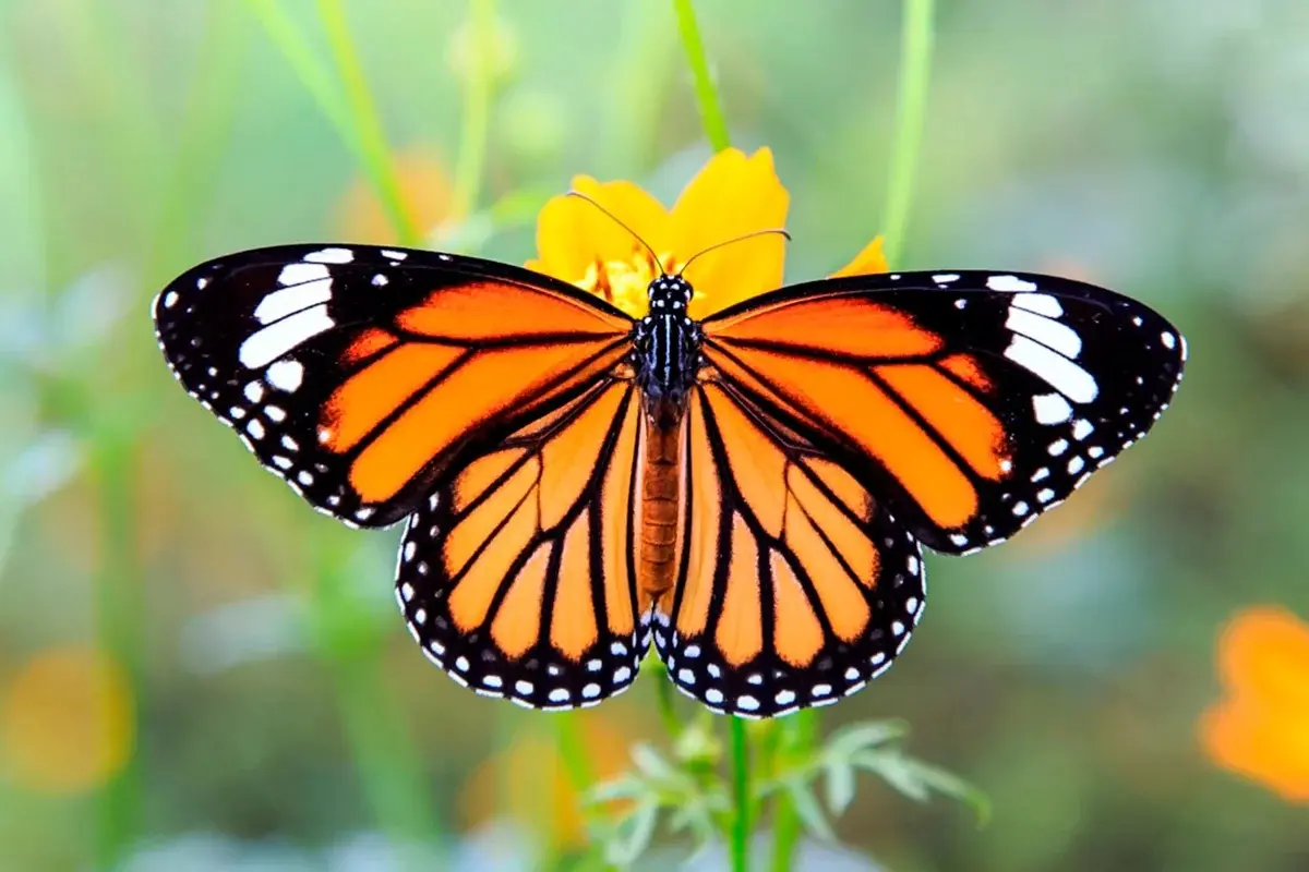 Verlas es una experiencia extraordinaria, sobre todo cuando conoces la razón para estar ahí y su larga trayectoria.