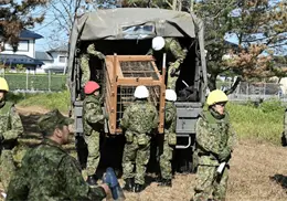 Japón despliega al ejército para controlar los ataques de osos Japón despliega al ejército para controlar los ataques de osos