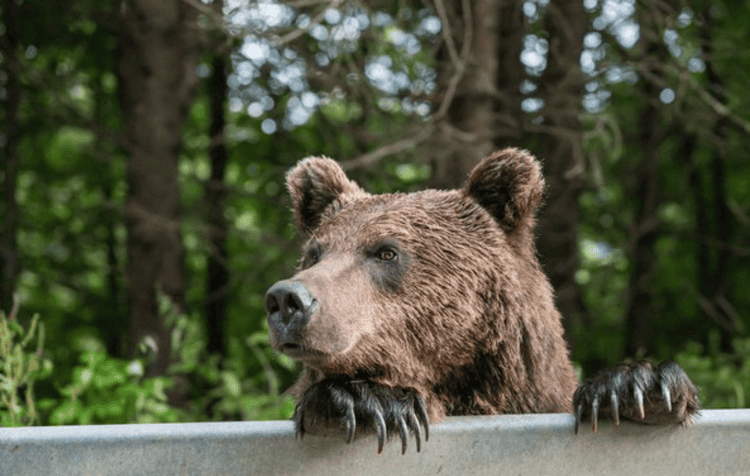 imagen-cuerpo imagen-cuerpo