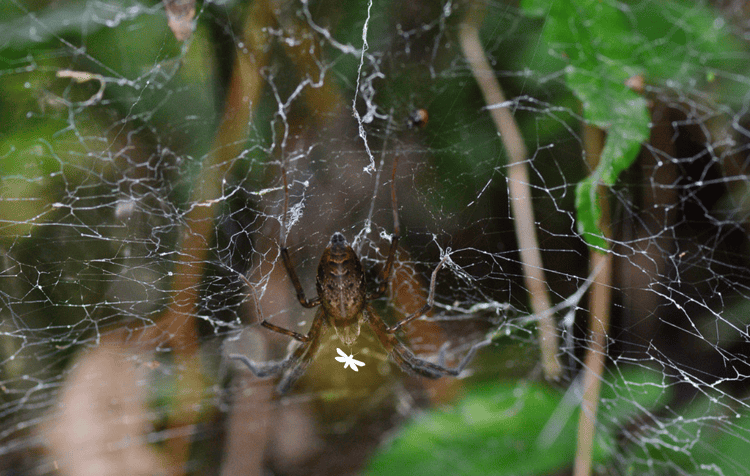 imagen-cuerpo imagen-cuerpo