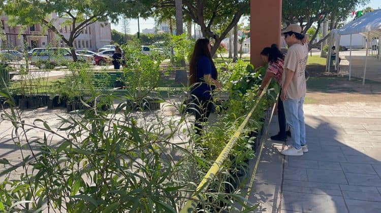 imagen-cuerpo imagen-cuerpo