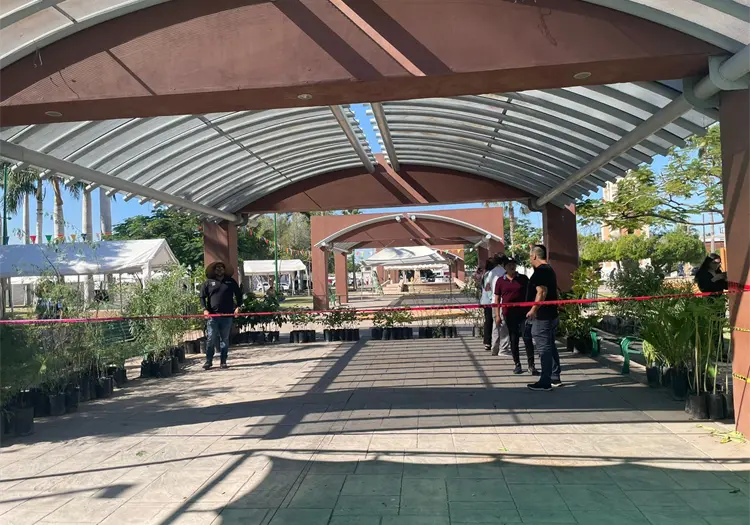 Ecotrueque en Cajeme: canjean material reciclable por árboles para un municipio más verde