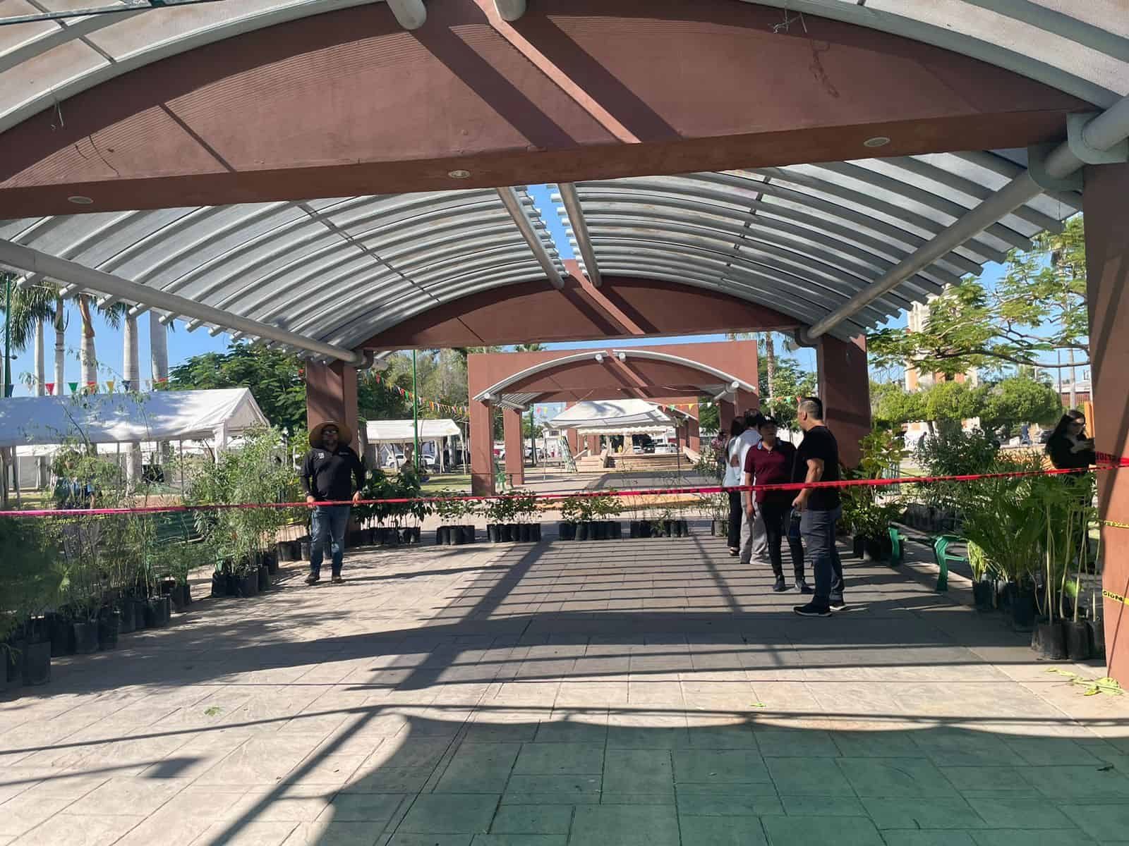 Ecotrueque en Cajeme: canjean material reciclable por árboles para un municipio más verde