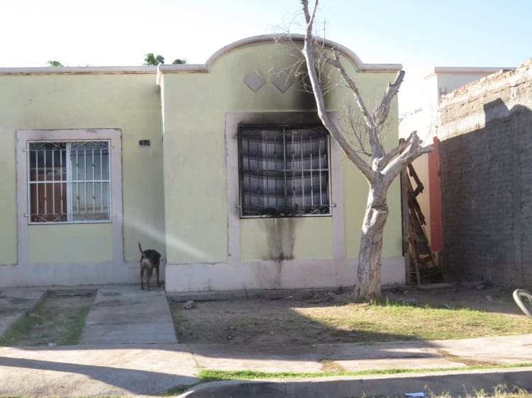 imagen-cuerpo imagen-cuerpo