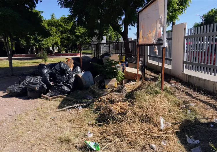 SEC limpia escuela Centauro del Norte, en Cajeme, para evitar propagación del dengue