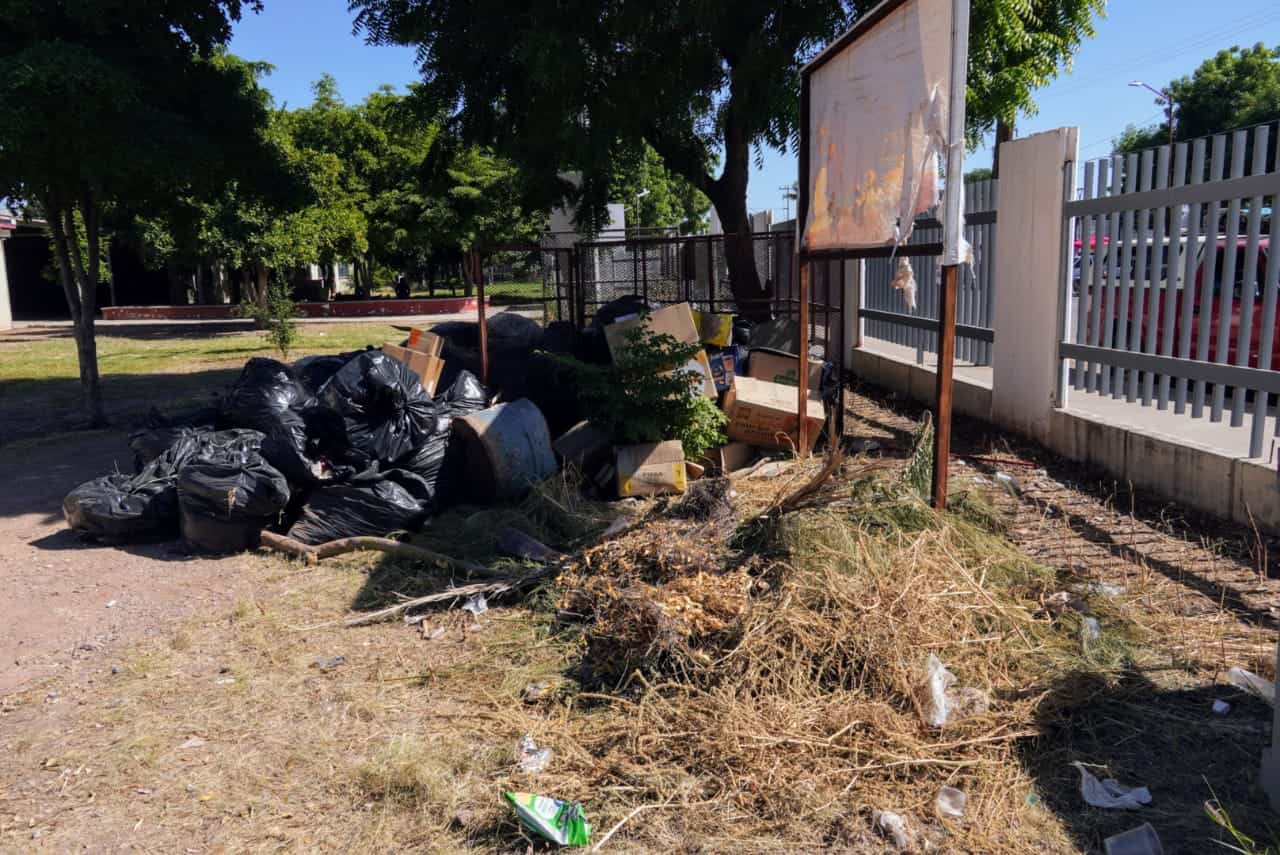 SEC limpia escuela Centauro del Norte, en Cajeme, para evitar propagación del dengue