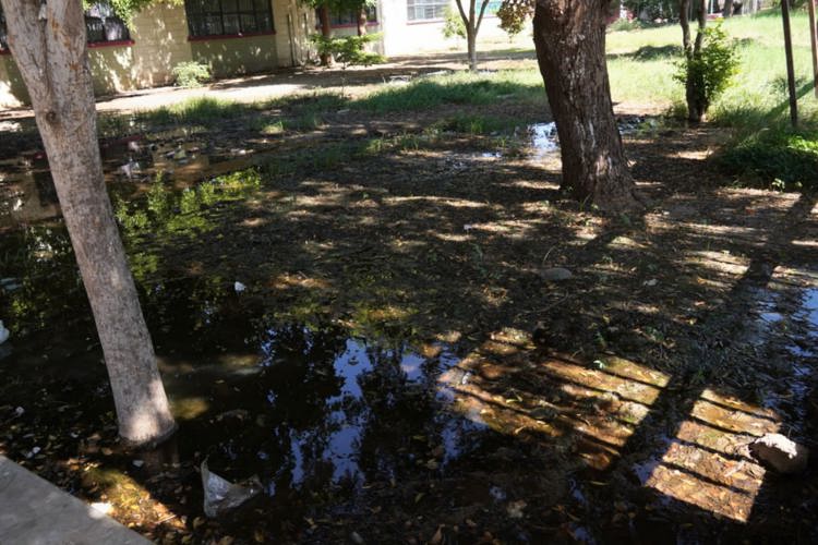 imagen-cuerpo imagen-cuerpo