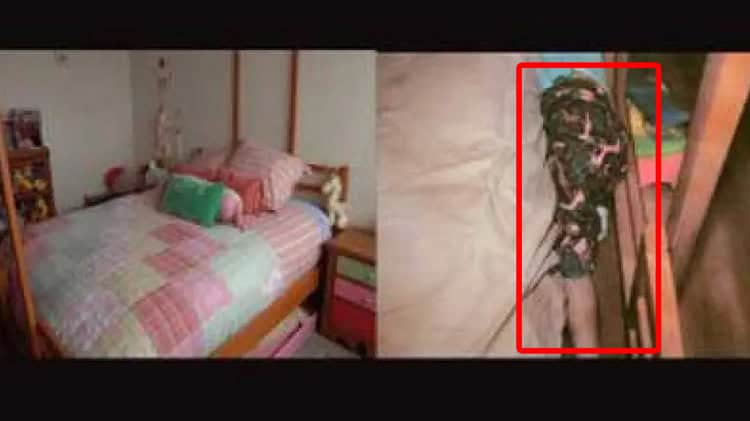 imagen-cuerpo imagen-cuerpo