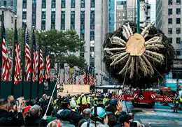 Árbol con 60 años de historia será puesto en el Rockefeller Center por Navidad Árbol con 60 años de historia será puesto en el Rockefeller Center por Navidad