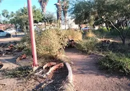 Piden limpieza en parque de Urbi Villa del Rey