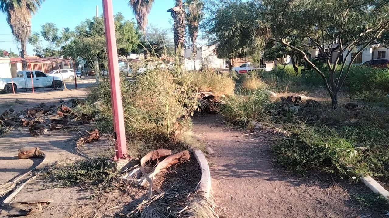 Vecinos de Urbi Villa del Rey inconformes por parque sin limpieza; temen aparición de fauna nociva