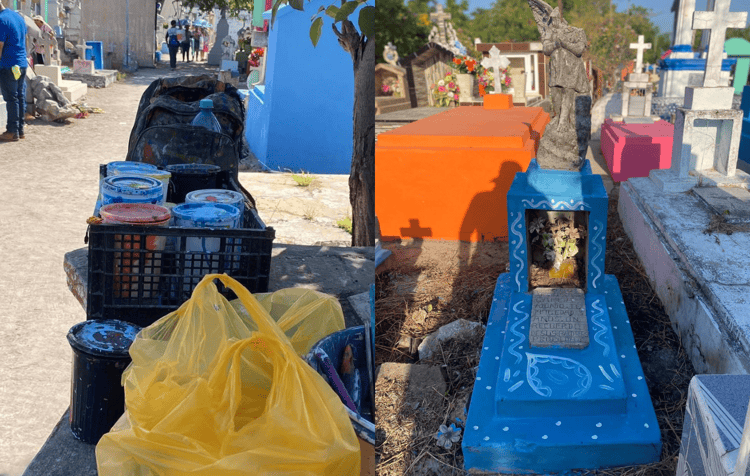 imagen-cuerpo imagen-cuerpo