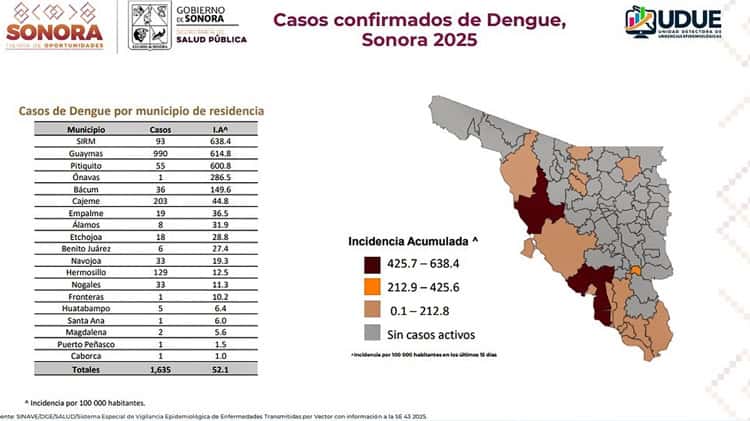 imagen-cuerpo imagen-cuerpo