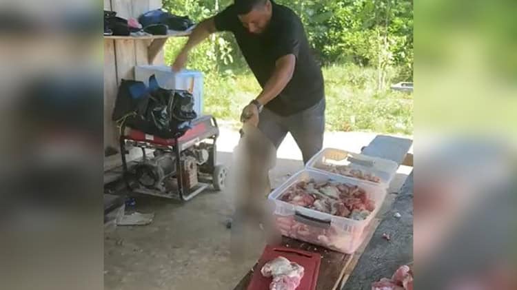 imagen-cuerpo imagen-cuerpo