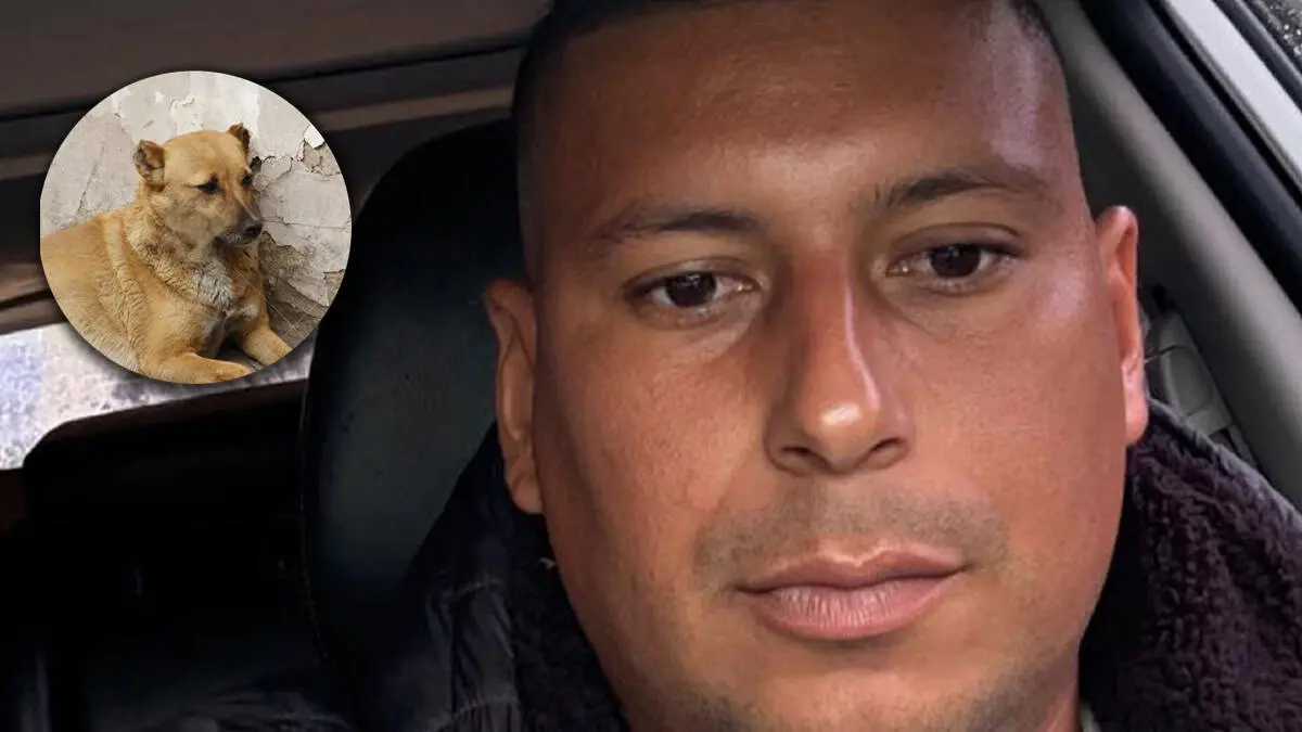 VIDEO | Mata a un perrito de forma cruel porque le robó comida; ahora es el más buscado de su país