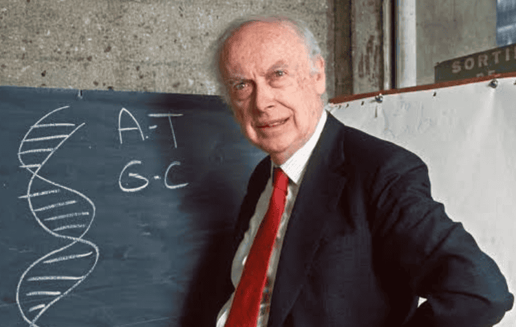 imagen-cuerpo imagen-cuerpo