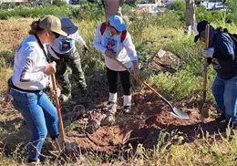 Hallan dos osamentas en Guaymas Hallan dos osamentas en Guaymas