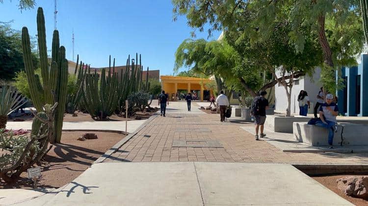 imagen-cuerpo imagen-cuerpo