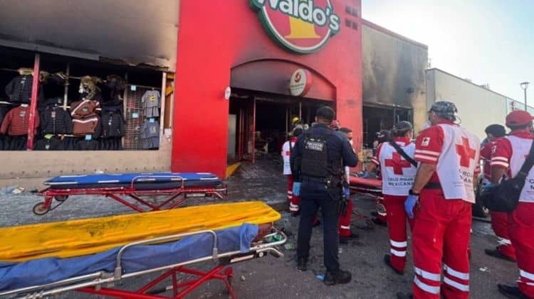 imagen-cuerpo imagen-cuerpo