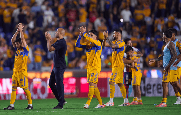 imagen-cuerpo imagen-cuerpo