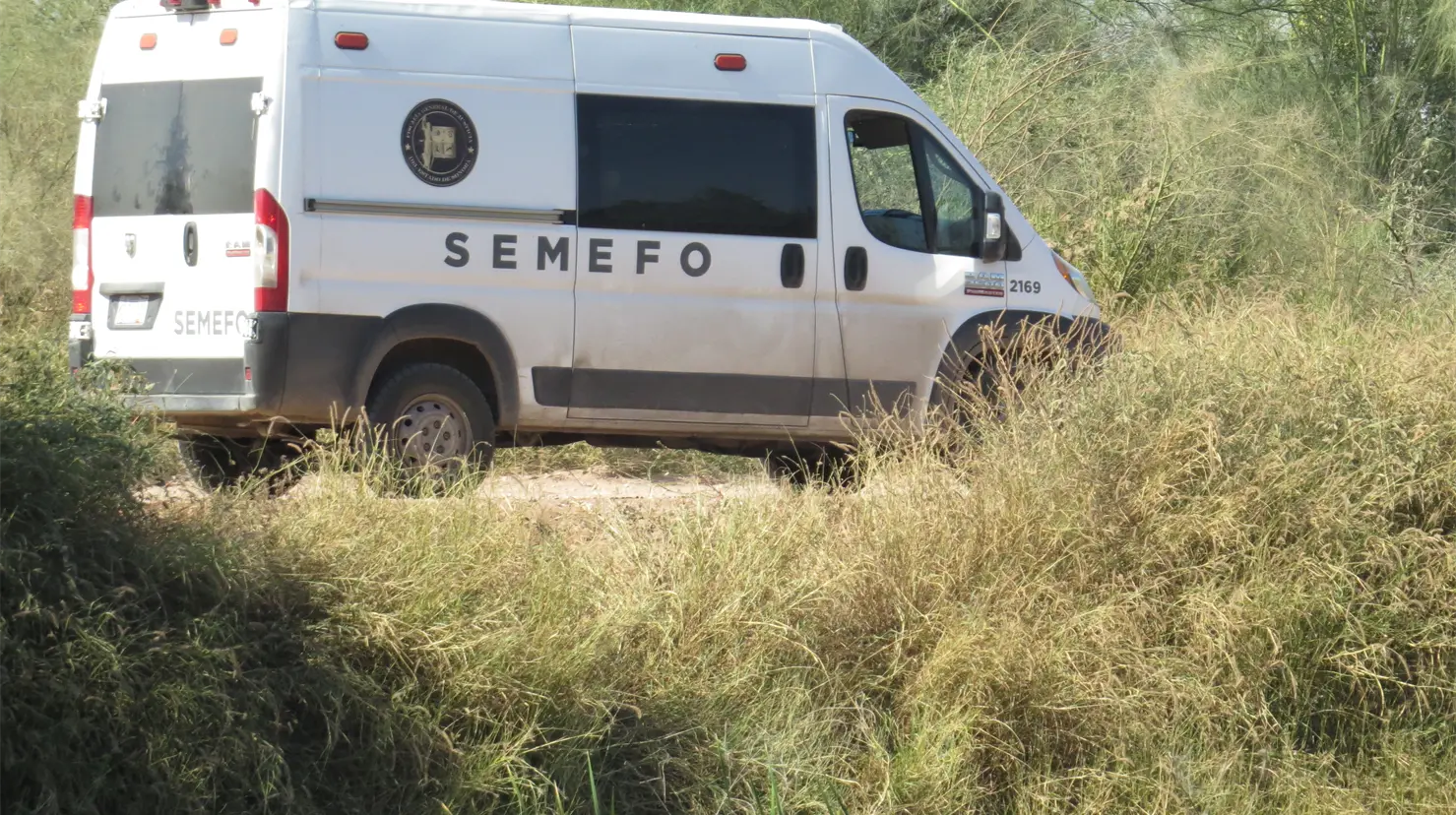 Flota cadáver en el Canal Alto, al oriente de Ciudad Obregón