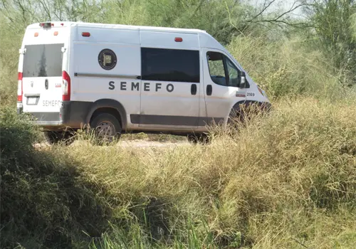 Flota cadáver en el Canal Alto, al oriente de Ciudad Obregón