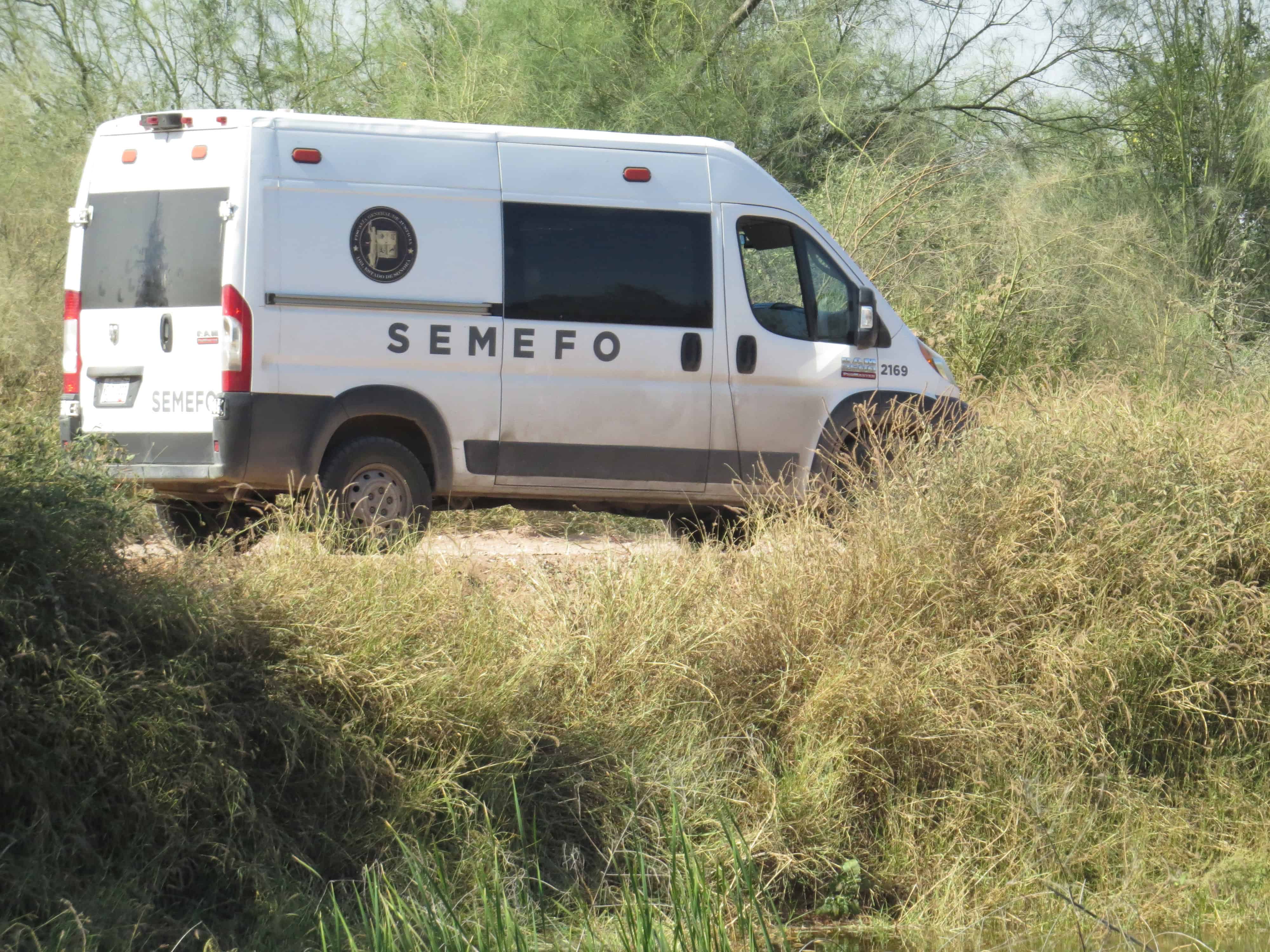 Flota cadáver en el Canal Alto, al oriente de Ciudad Obregón
