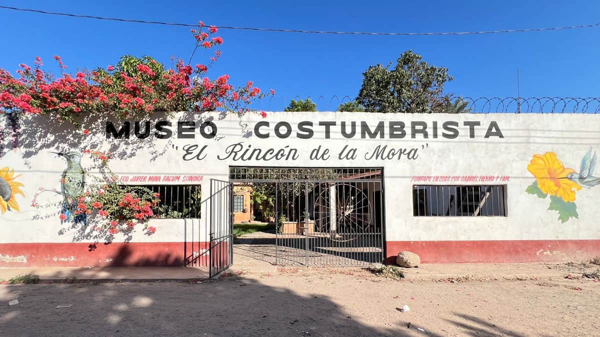 Museo El Rincón de la Mora: donde cada objeto cuenta la historia viva del Valle del Yaqui